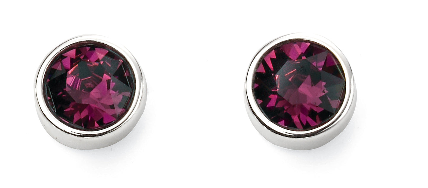 Feb Silver Crystal Birthstone Earrings
