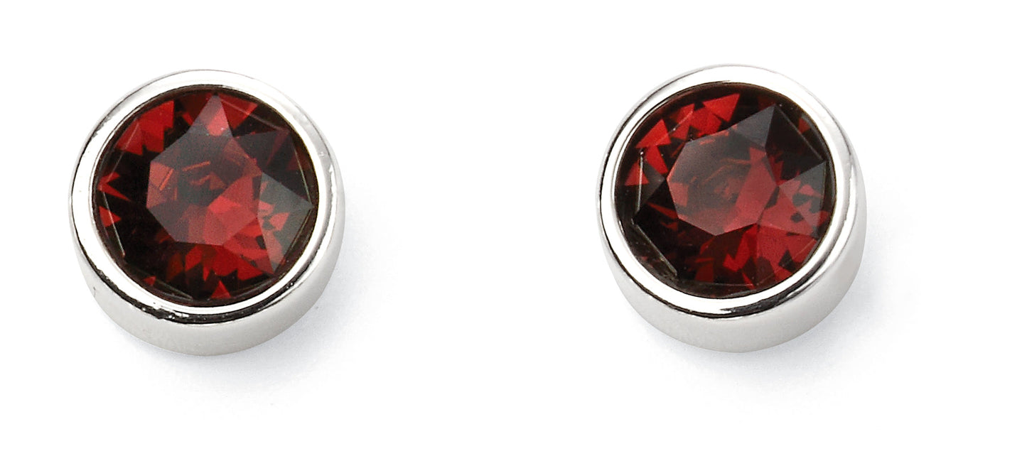Jan Silver Crystal Birthstone Earrings