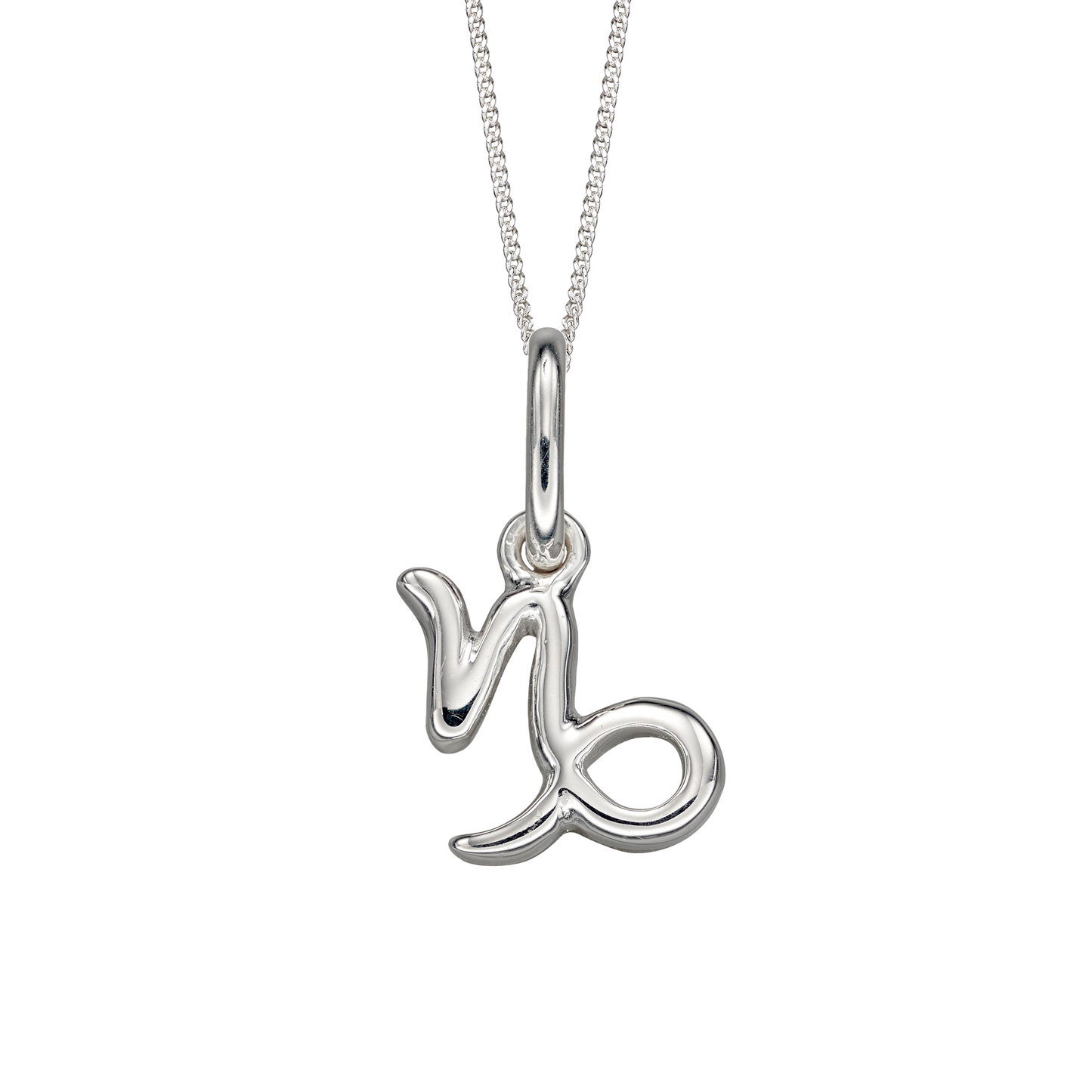 Capricorn Zodiac Necklace